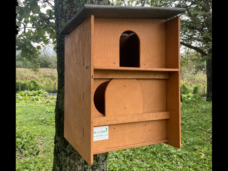 *New Barn Owl Box Golden Brown* The Owl Box