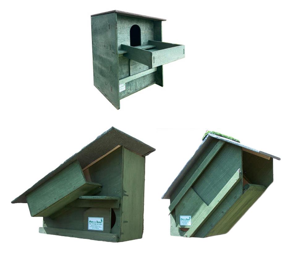 Owl Nest Boxes set with Square Barn Owl Box