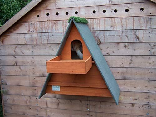 Triangle Barn Owl Box w/ Shelf