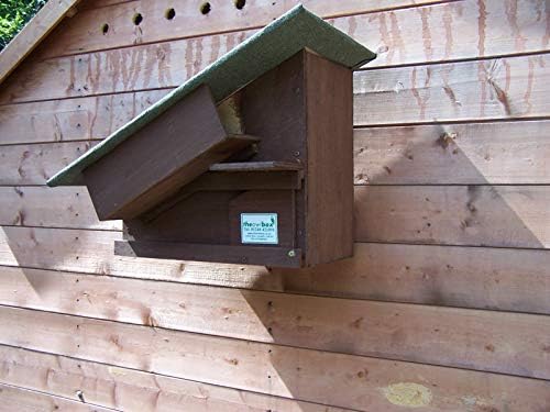 Owl Nest Boxes set with Square Barn Owl Box