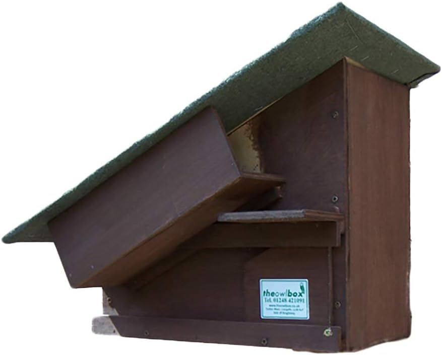 Little Owl Box