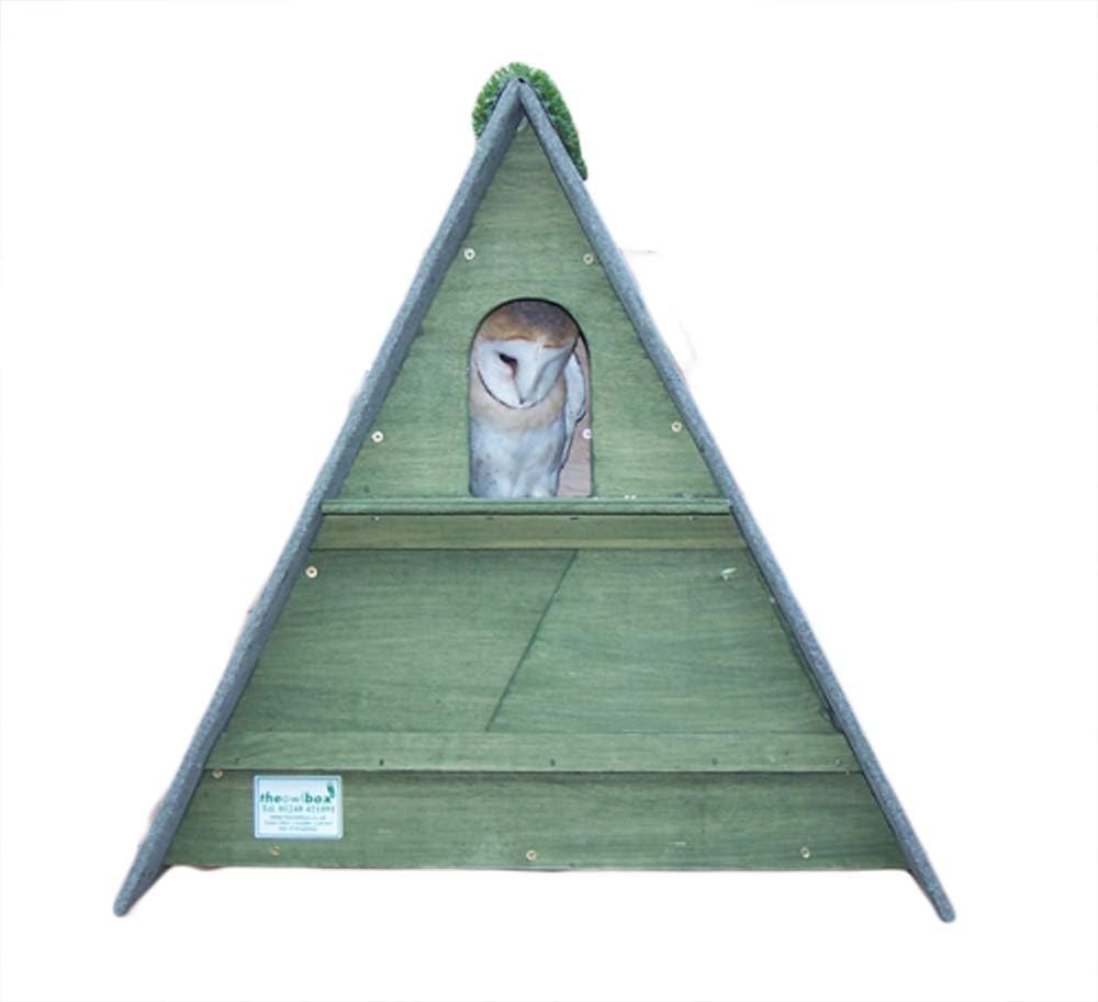 Triangle Barn Owl Box
