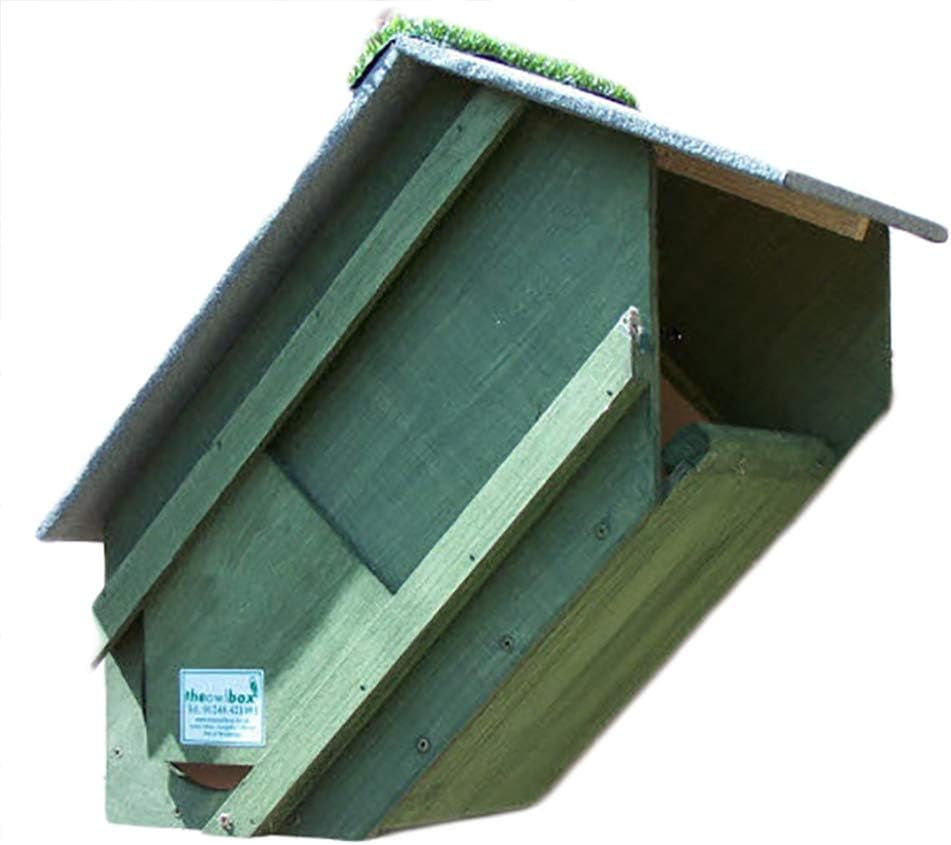 Owl Nest Box set with Triangle Barn owl Box