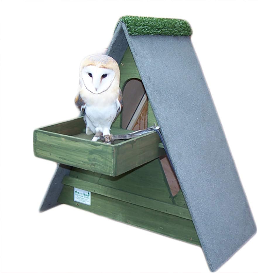 Owl Nest Box set with Triangle Barn owl Box