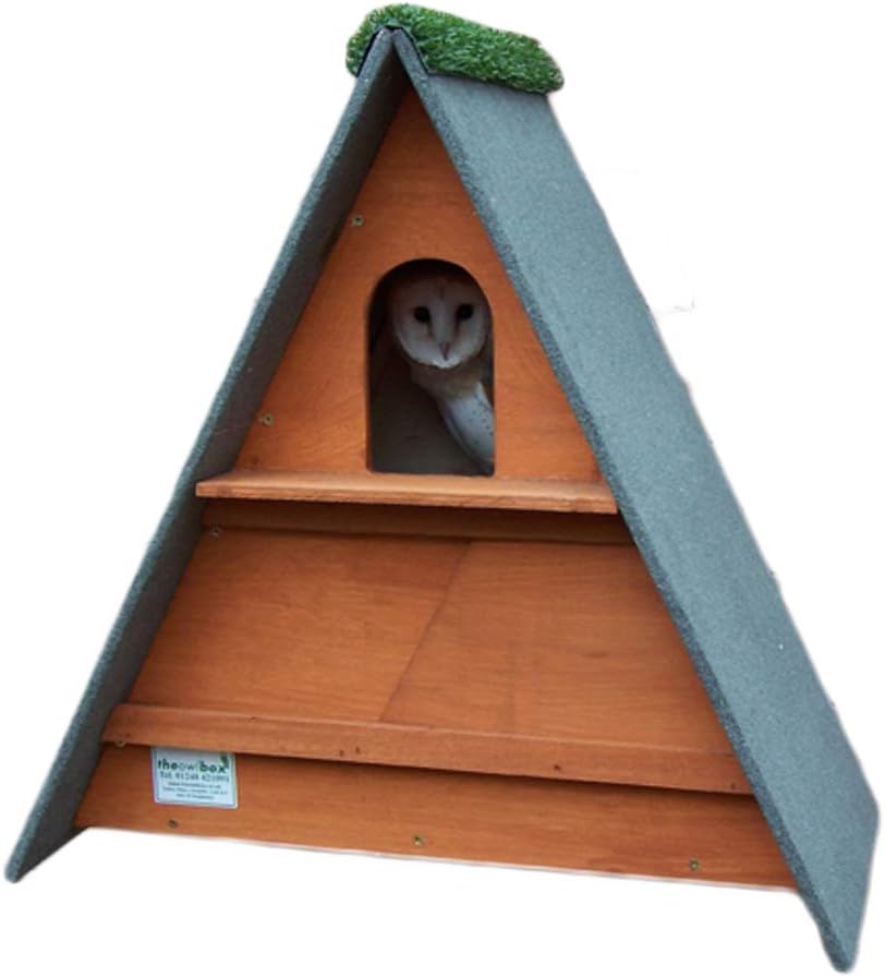 Triangle Barn Owl Box