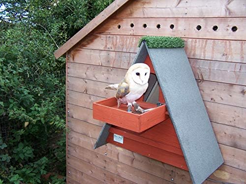 Triangle Barn Owl Box w/ Shelf