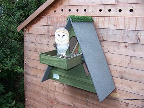 Triangle Barn Owl Box w/ Shelf