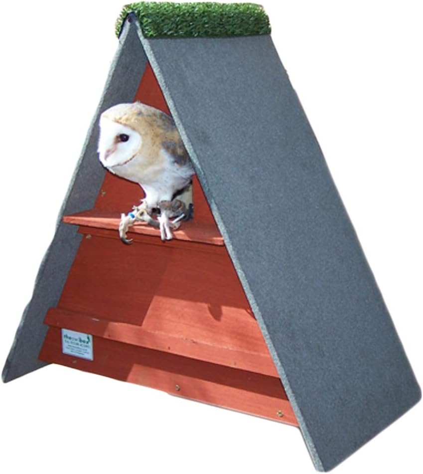 Triangle Barn Owl Box