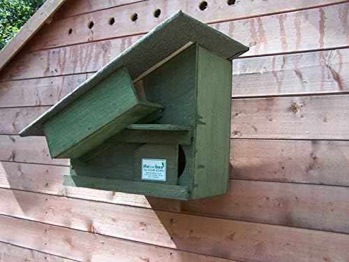 Owl Nest Box set with Triangle Barn owl Box