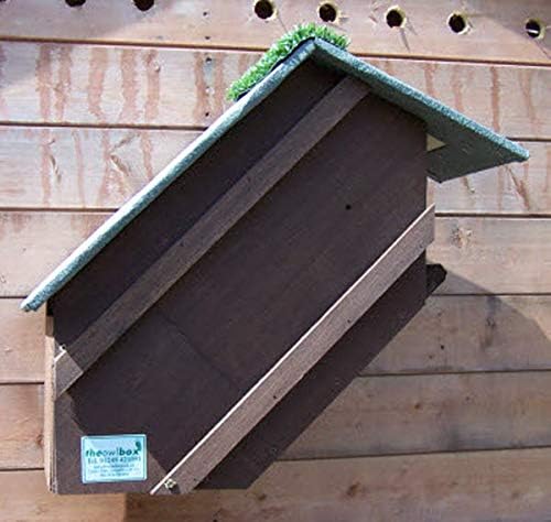 Owl Nest Box set with Triangle Barn owl Box