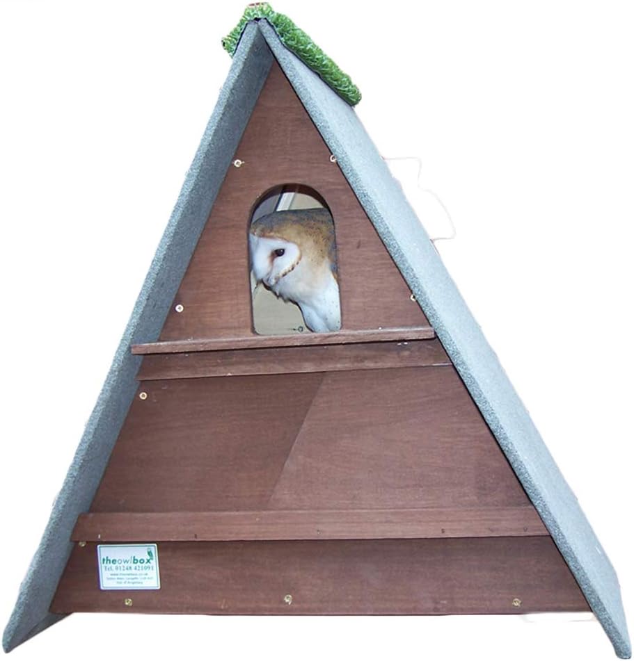 Triangle Barn Owl Box