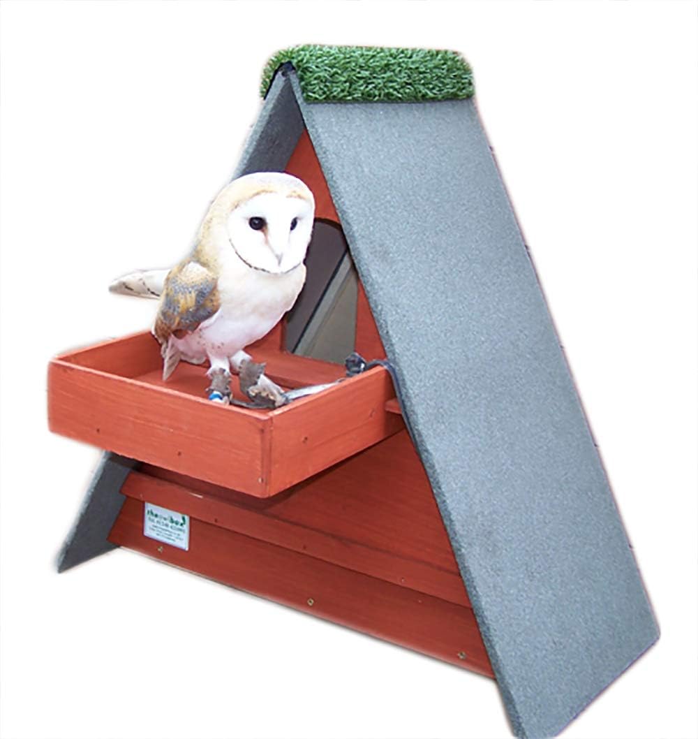 Triangle Barn Owl Box w/ Shelf