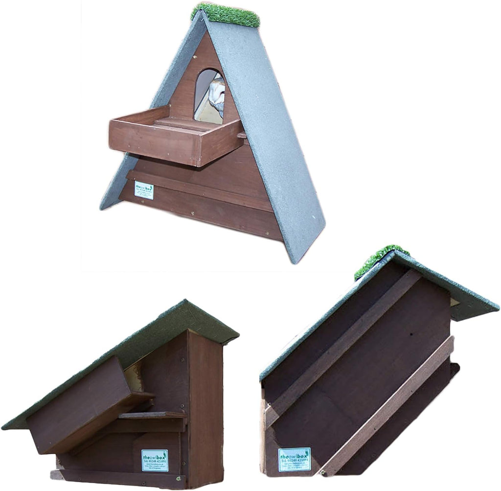 Owl Nest Box set with Triangle Barn owl Box
