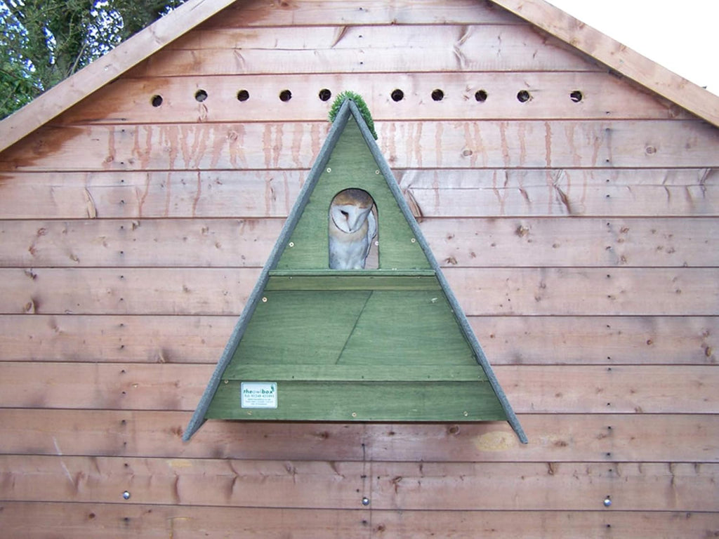 Triangle Barn Owl Box