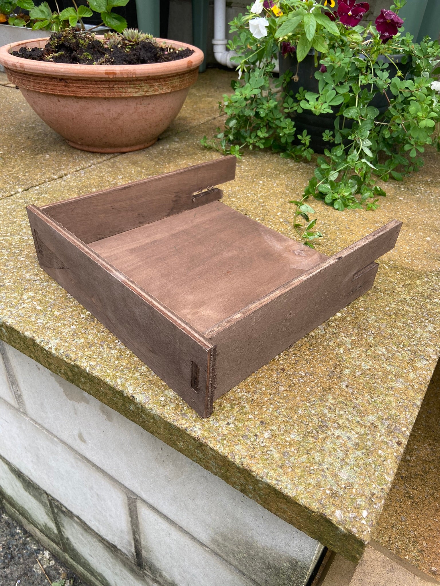 Barn Owl Box Extra Shelf