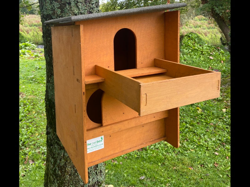 Square Barn Owl Box With Shelf