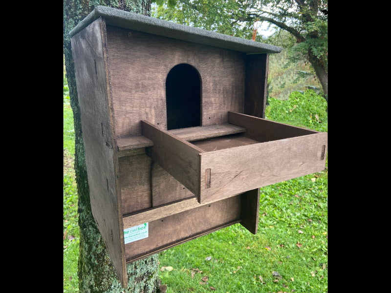 Square Barn Owl Box With Shelf