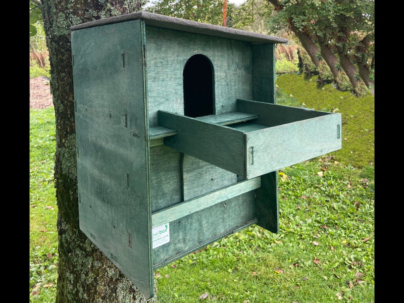 Owl Nest Boxes set with Square Barn Owl Box