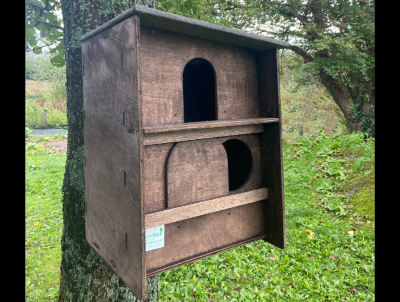 Square Barn Owl Box