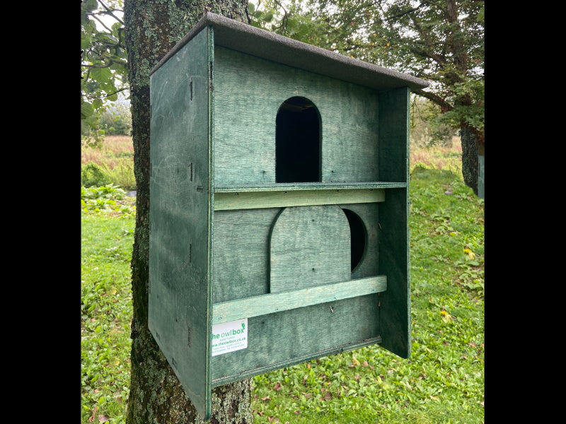 Square Barn Owl Box