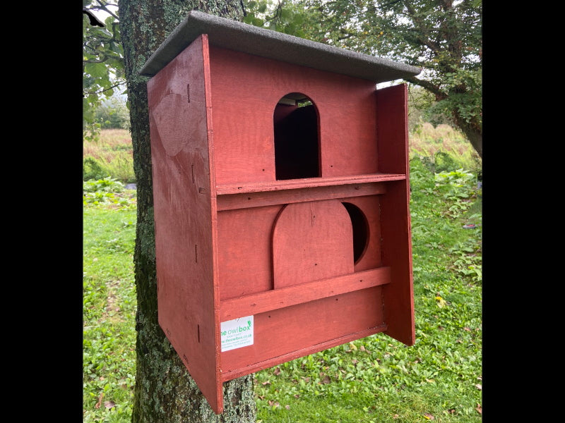 Square Barn Owl Box