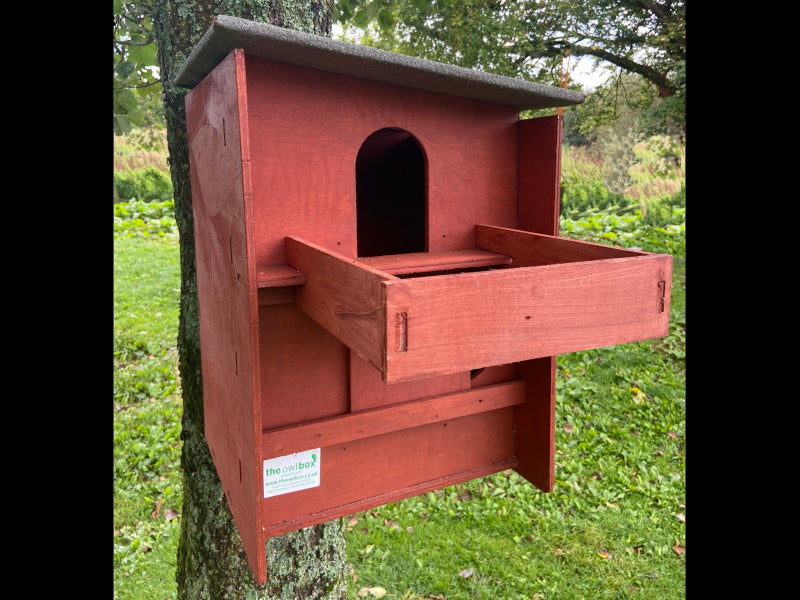 Square Barn Owl Box With Shelf