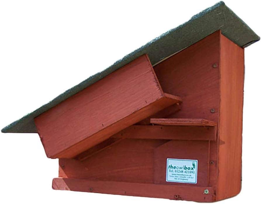 Little Owl Box